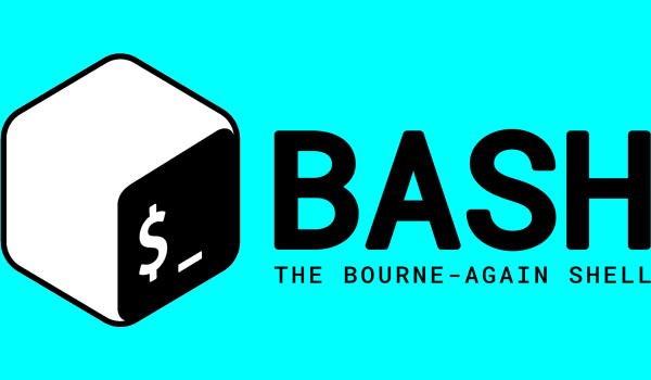 Bash Script