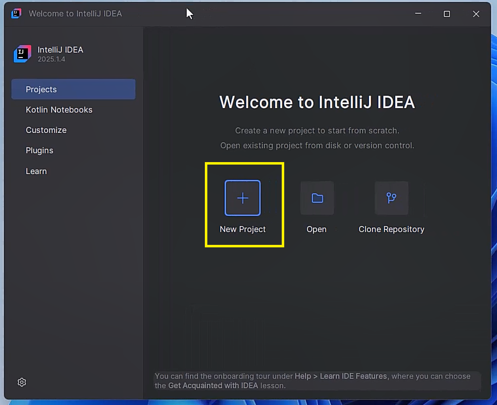 IntelliJ IDEA